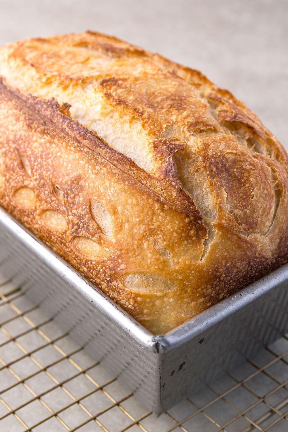 Homemade Sourdough Bread in a loaf pan sitting on a cooling tray 