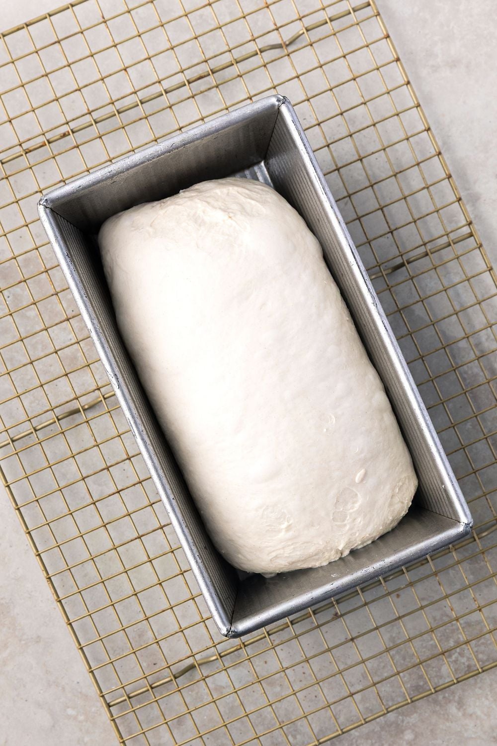 small Homemade Sourdough Bread dough in a pan on cooling rack on table 