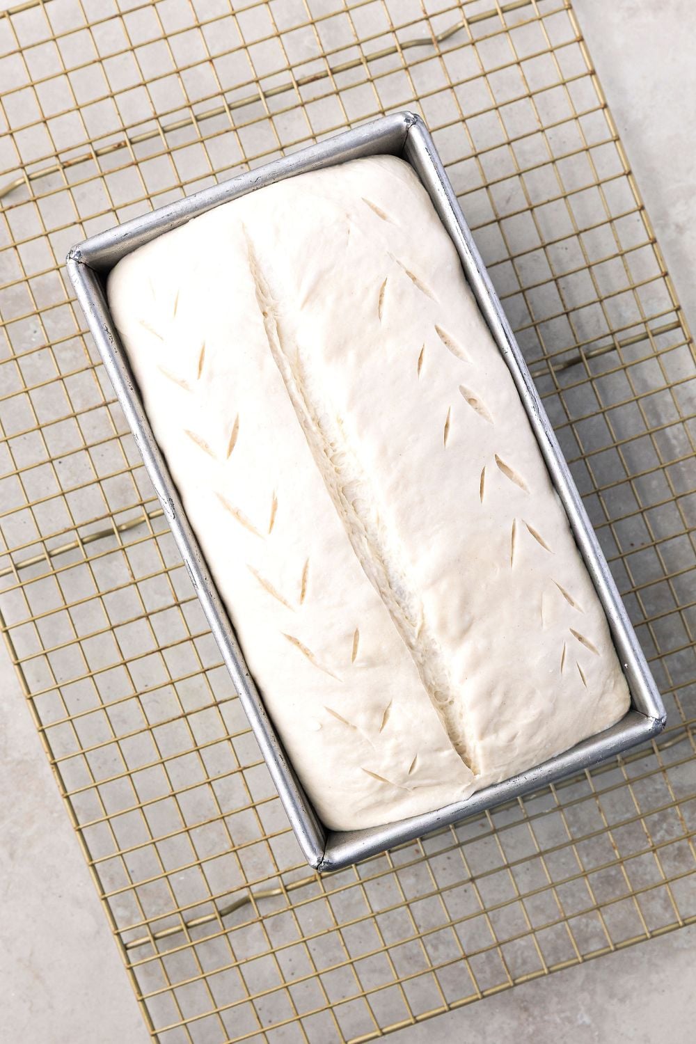 Homemade Sourdough Bread dough that has slits in it to show how to cut the bread dough 