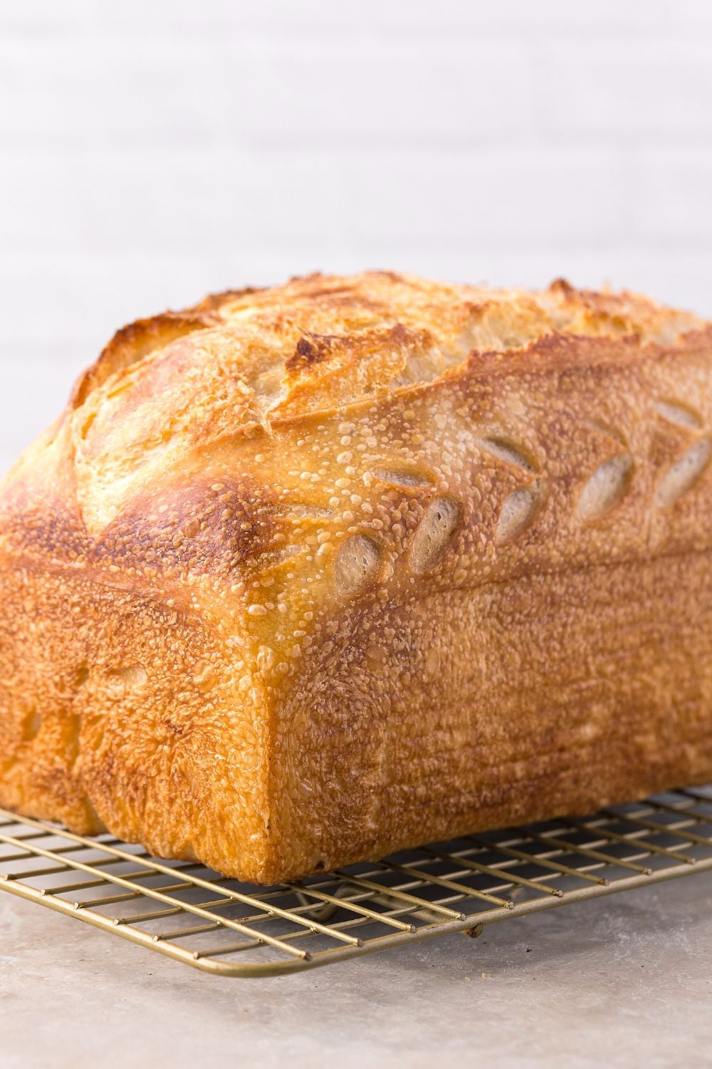 Homemade Sourdough Bread loaf on cooling rack on table 