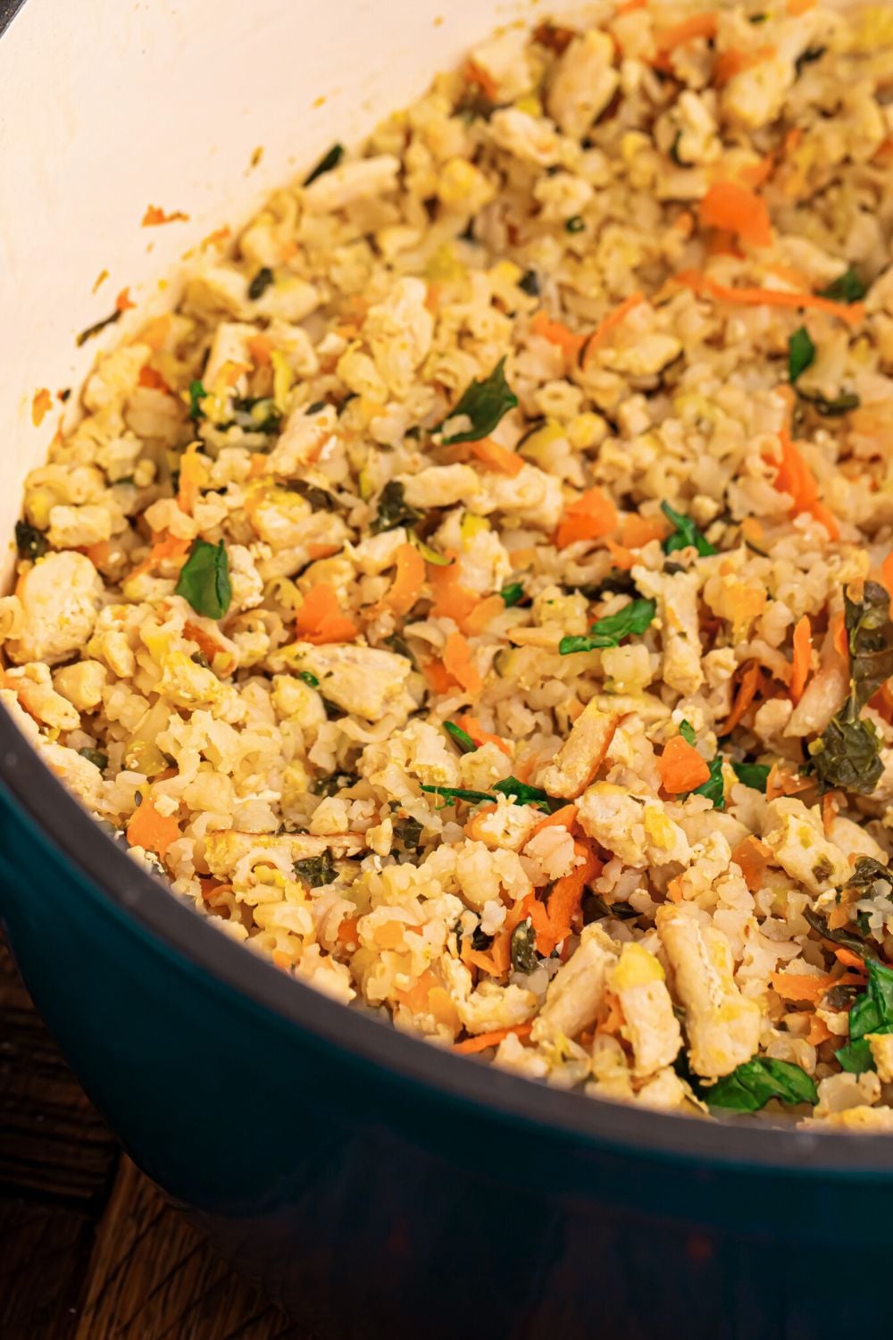 Homemade Turkey and Rice Dog Food with Veggies in a blue pot sitting on table 