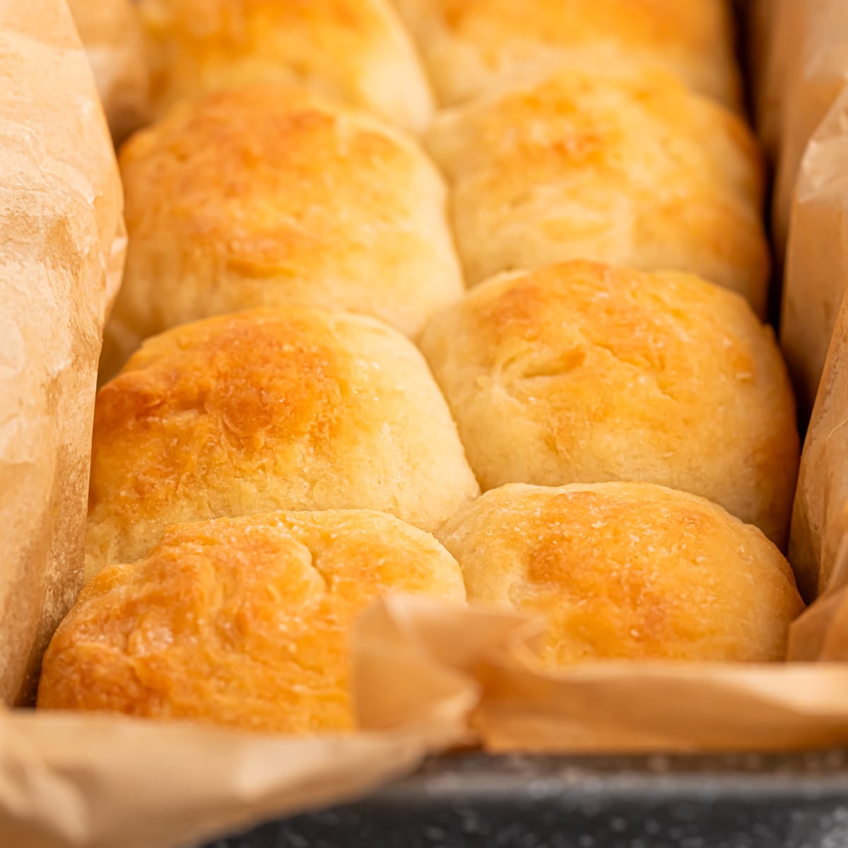 2 Ingredient Dinner Rolls (Easy No Yeast Bread Recipe!)