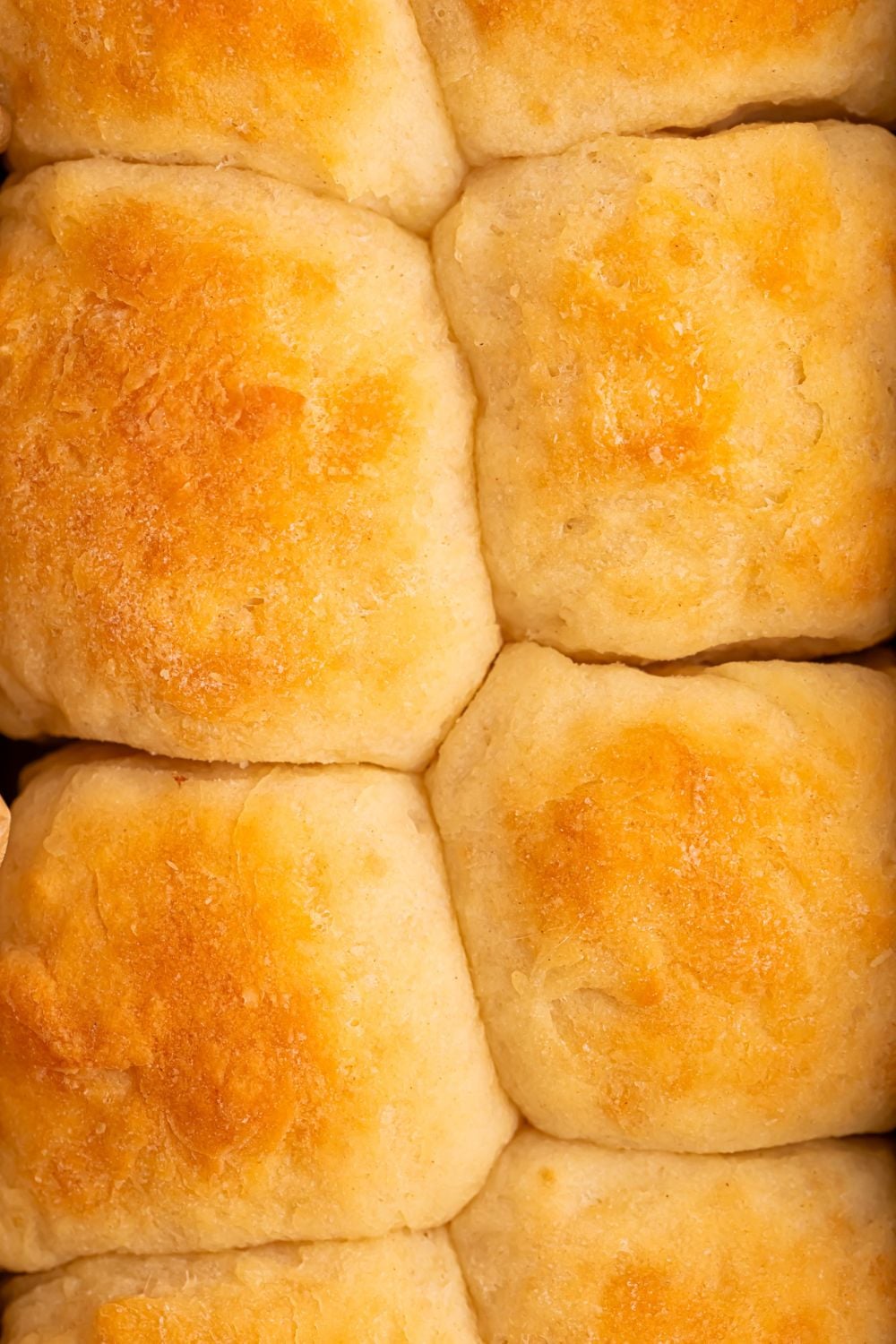 2 Ingredient Dinner Rolls in a pan with a close up of rolls