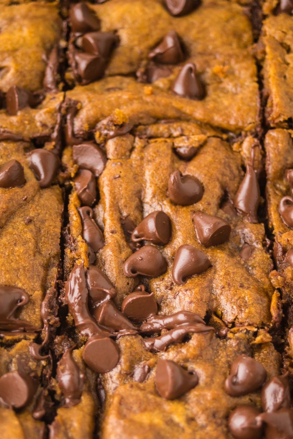 Brown Butter Pumpkin Chocolate Chip Bars in a pan cut into squares