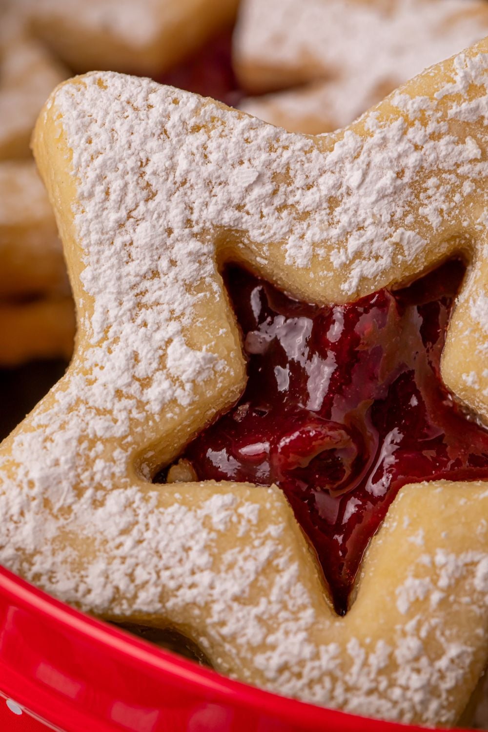 close up look of star shaped cookie in a tin dusted with powdered sugar