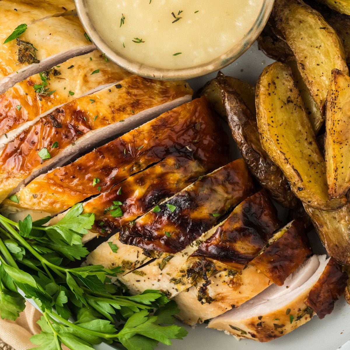 Roasted Turkey Breast on plate with potatoes and a dipping sauce to the side