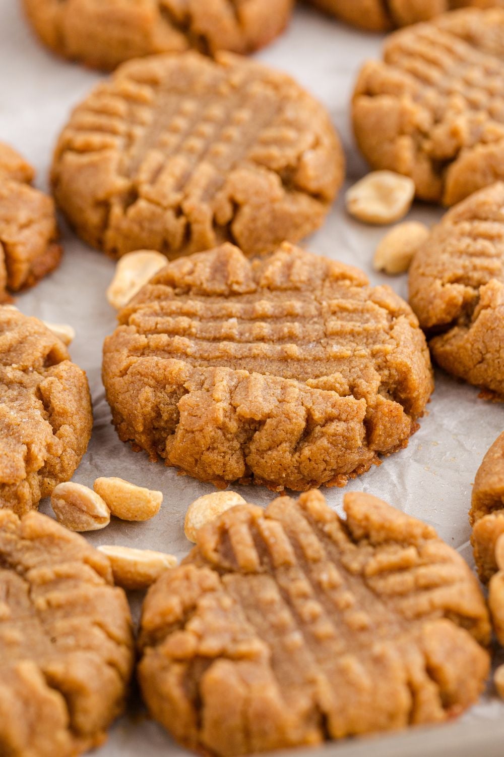 4 Ingredient Peanut Butter Cookies spread around the table in a single row with a few peanuts around the table