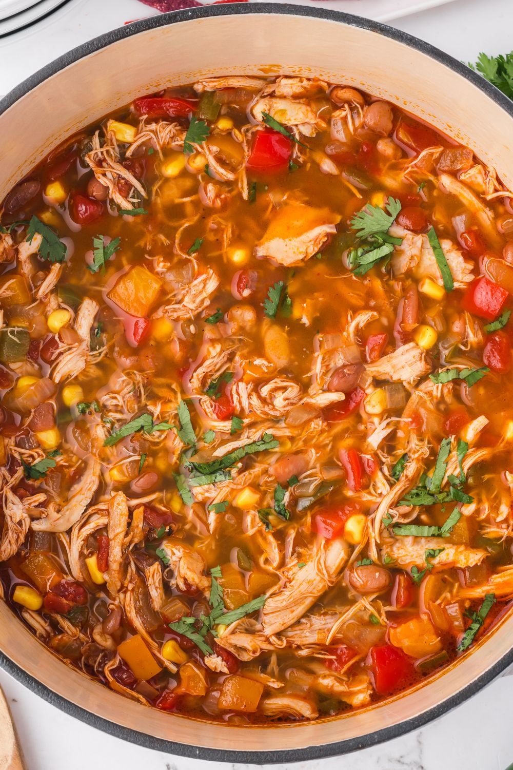 Southwestern Chicken Soup (Easy One Pot Dinner)