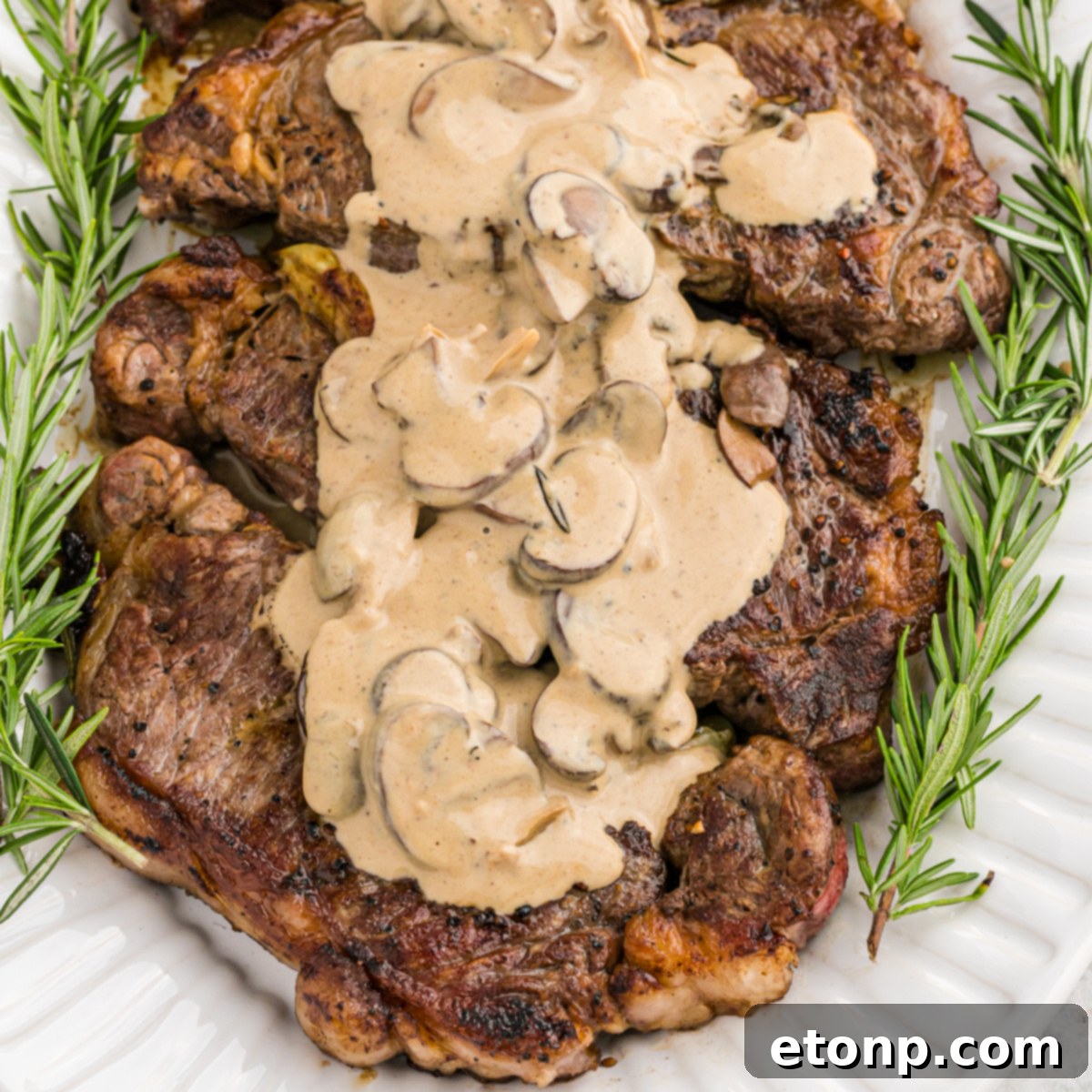 featured 24398