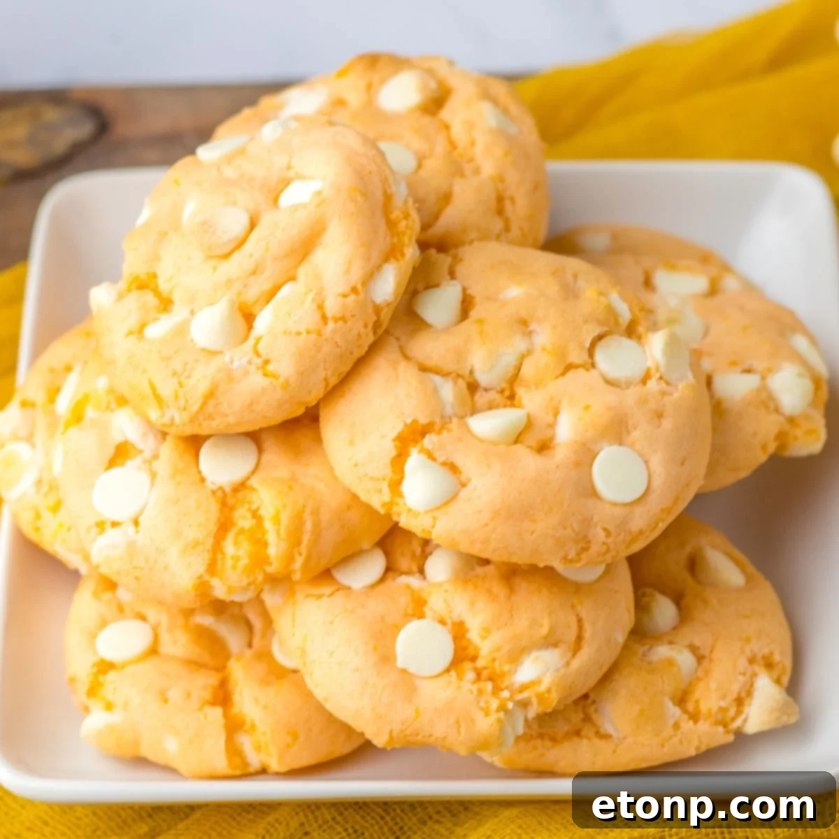 featured 29832