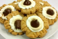 Ultimate Peanut Butter Smores Cookies