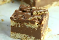 Effortless Chocolate Oatmeal Bliss Bars