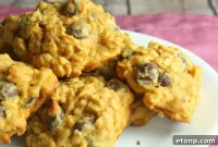 Spiced Pumpkin & Oat Chocolate Chip Delights