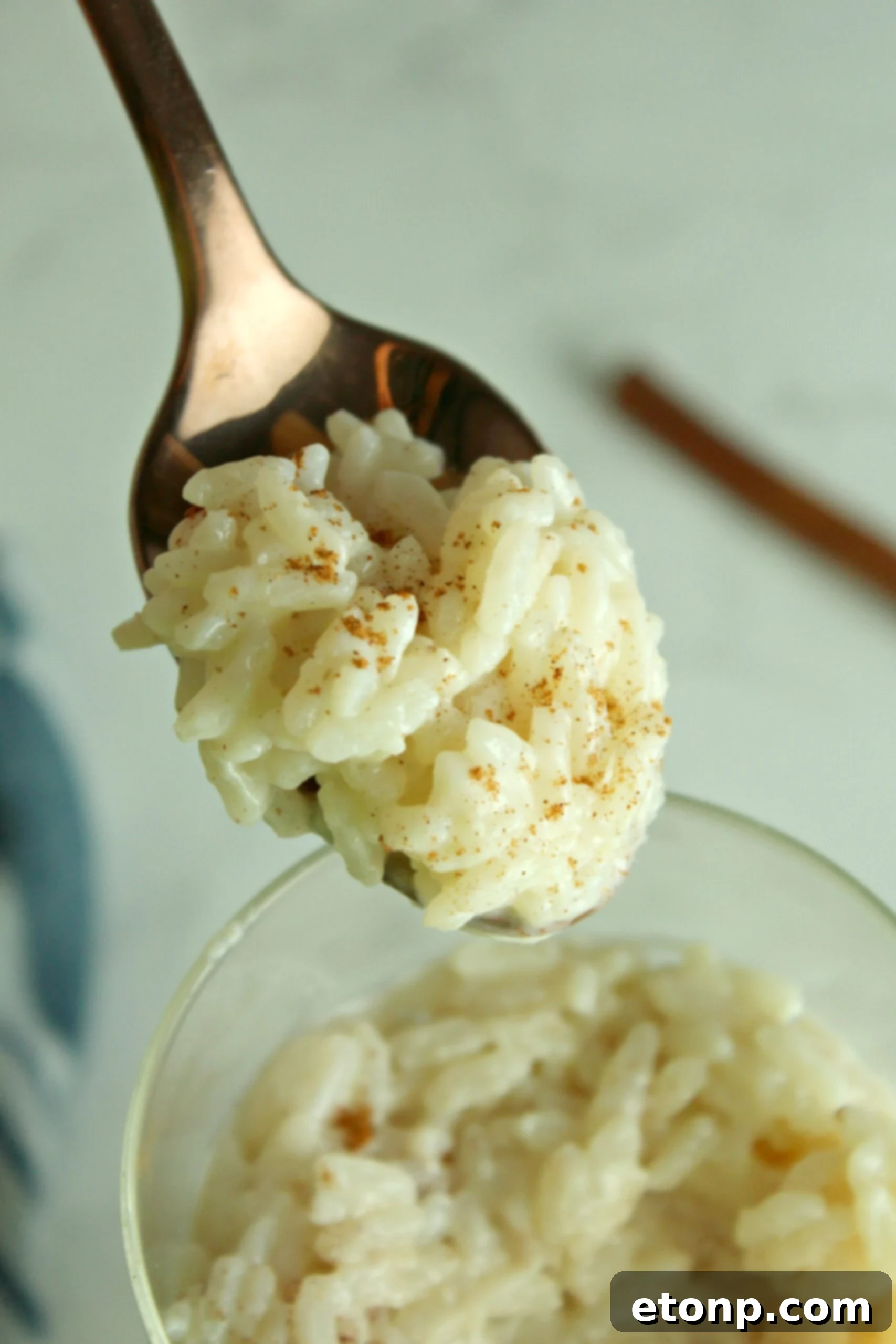 A scoop of rice pudding with a spoon in a bowl