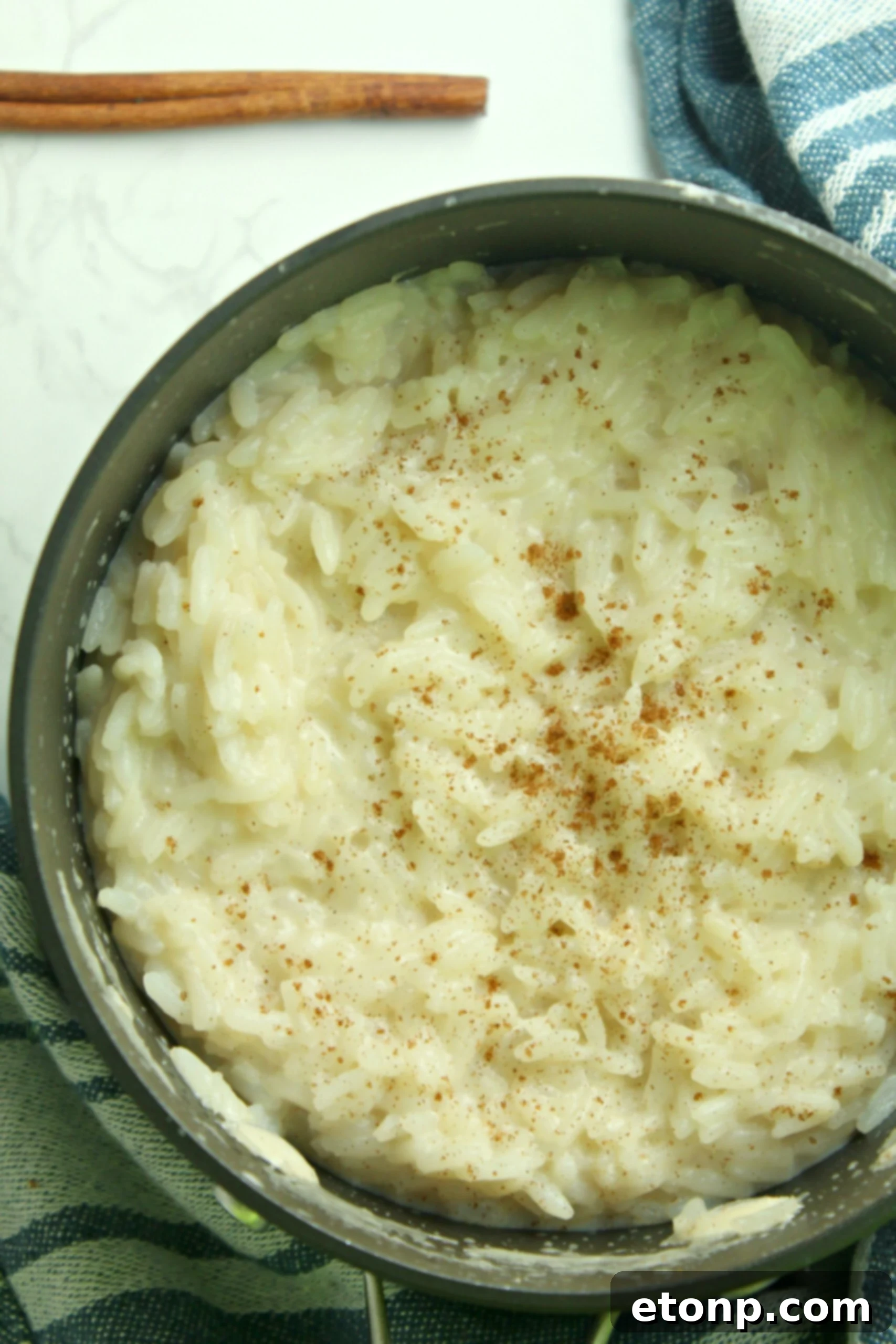 Rice pudding generously sprinkled with cinnamon