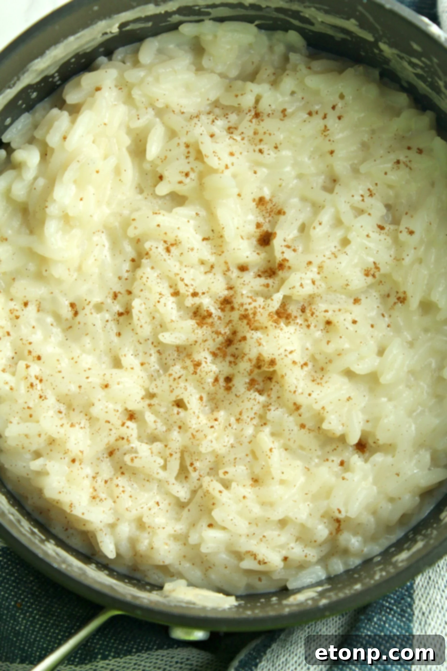 Homemade creamy rice pudding in a bowl with a spoon
