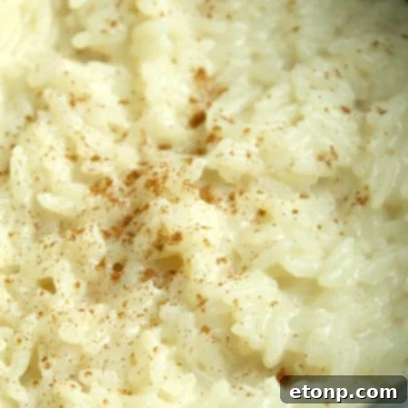 Old Fashioned Creamy Rice Pudding