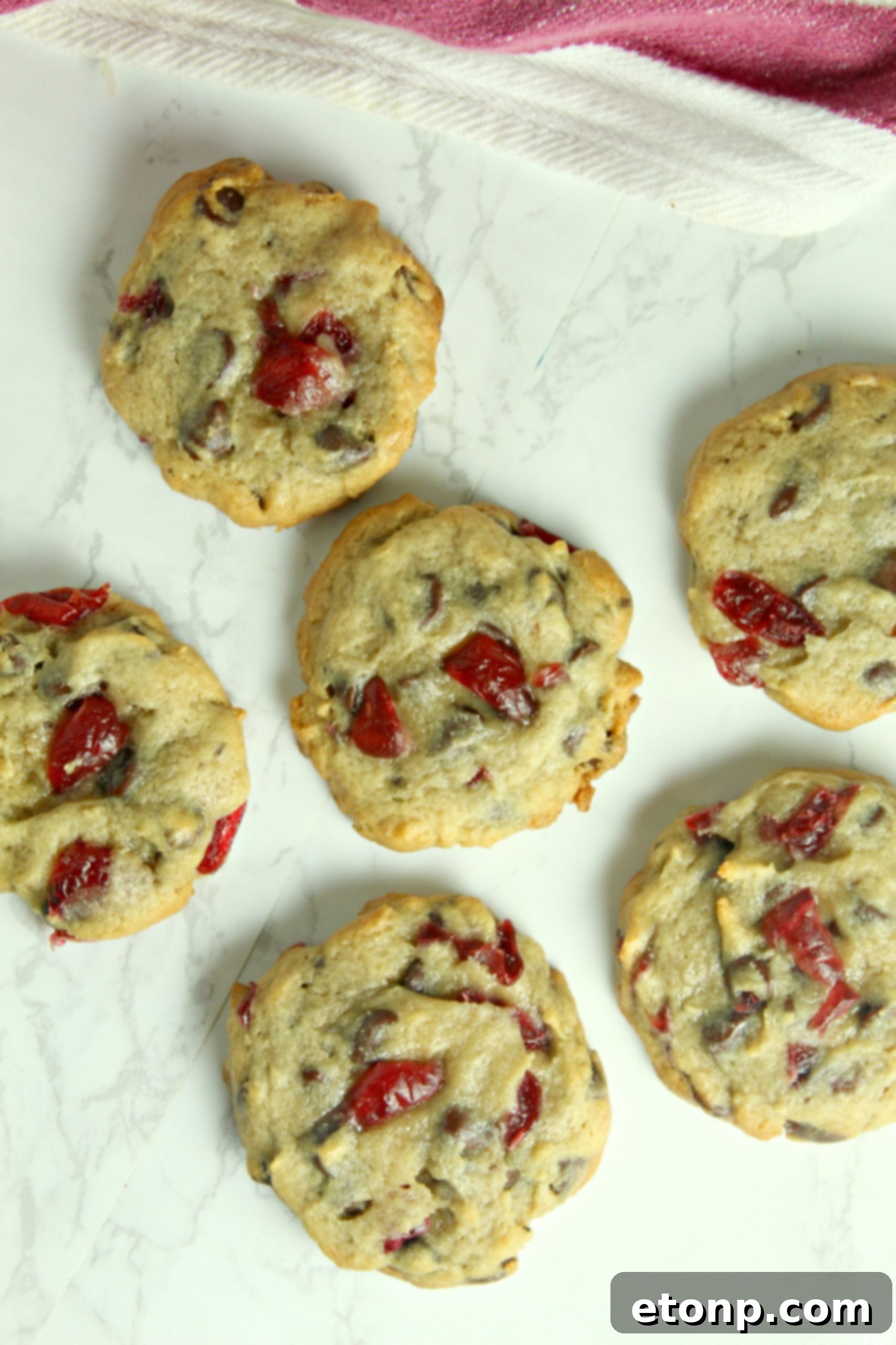 Stack of Cherry Garcia Cookies