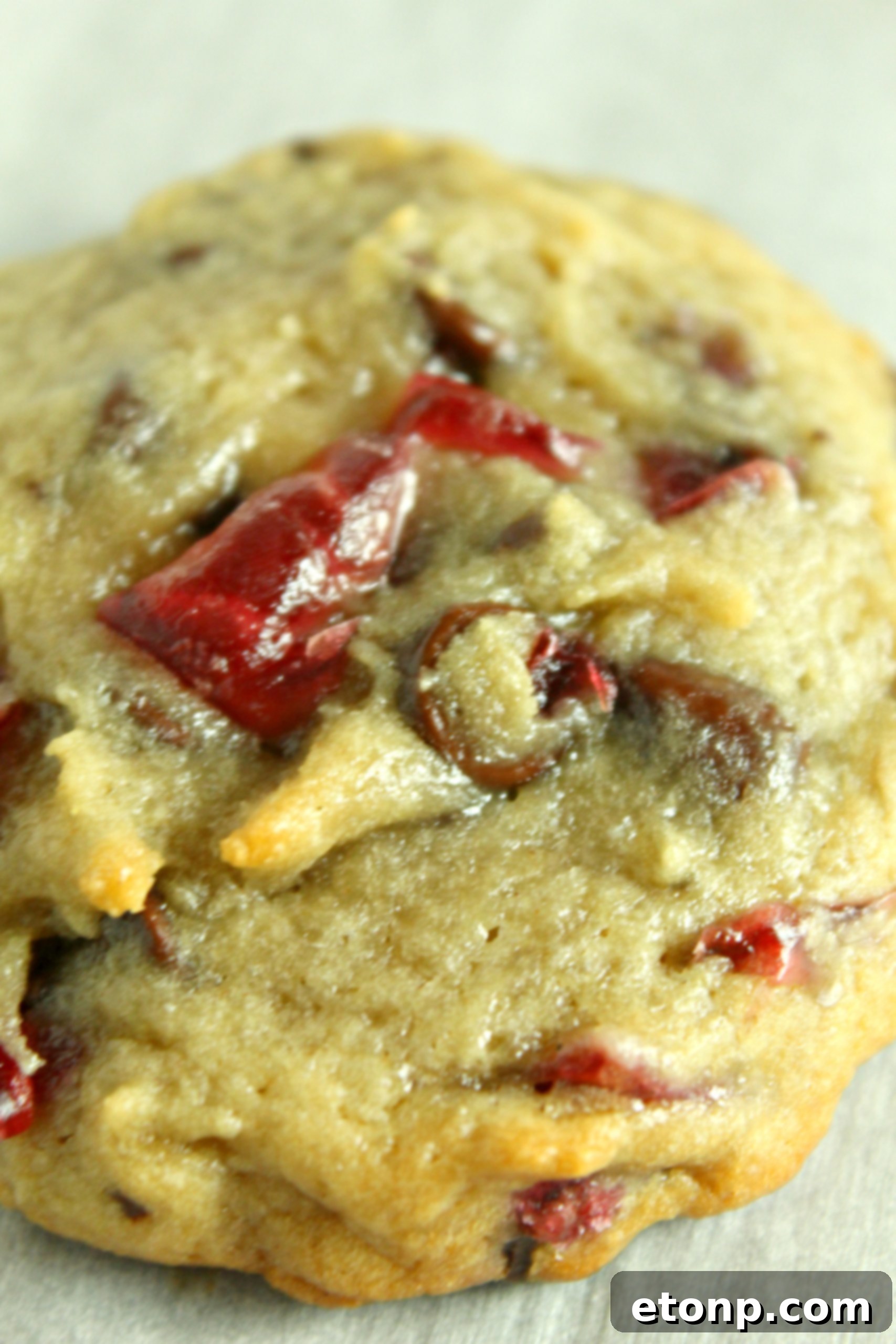 Close-up of a Cherry Garcia Cookie with chocolate and cherries visible