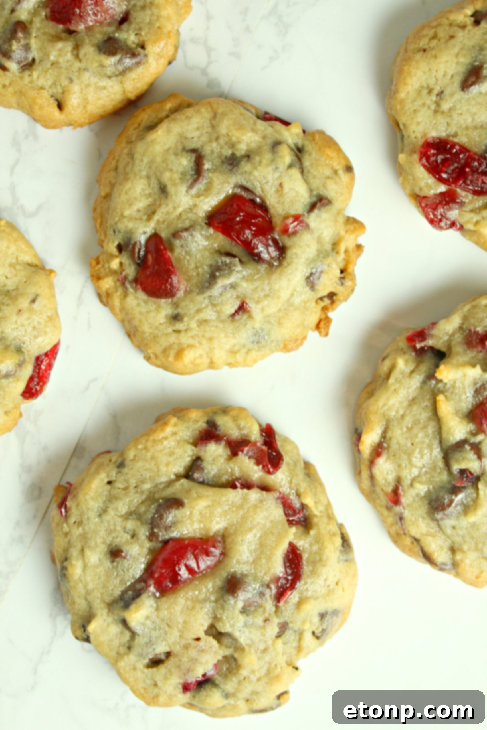 Hand holding a Cherry Garcia Cookie