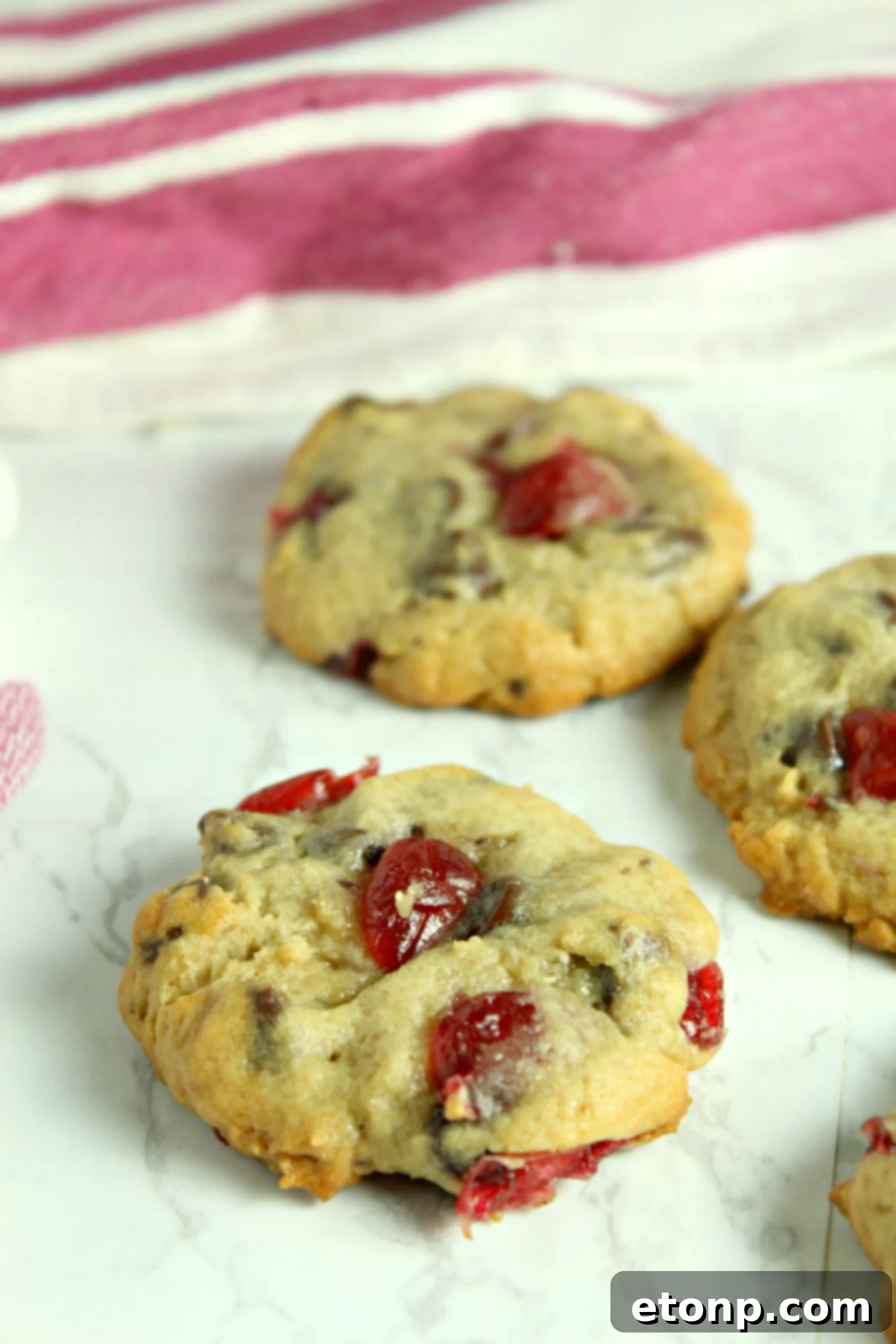 Plate of freshly baked Cherry Garcia Cookies