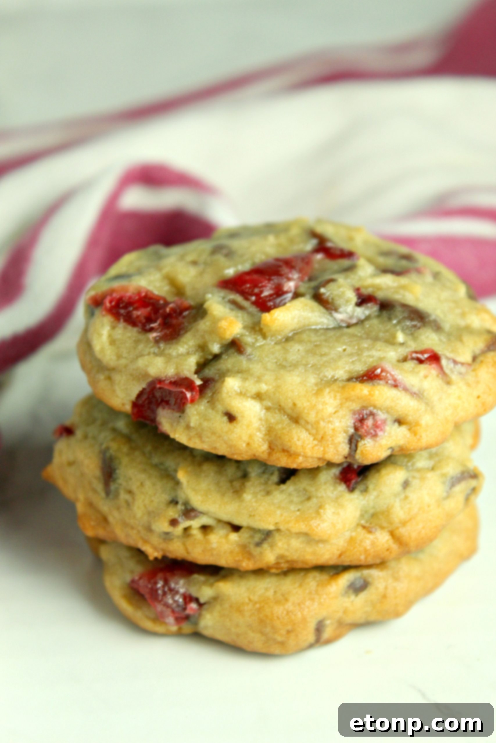 Cookie dough with cherries and chocolate chips