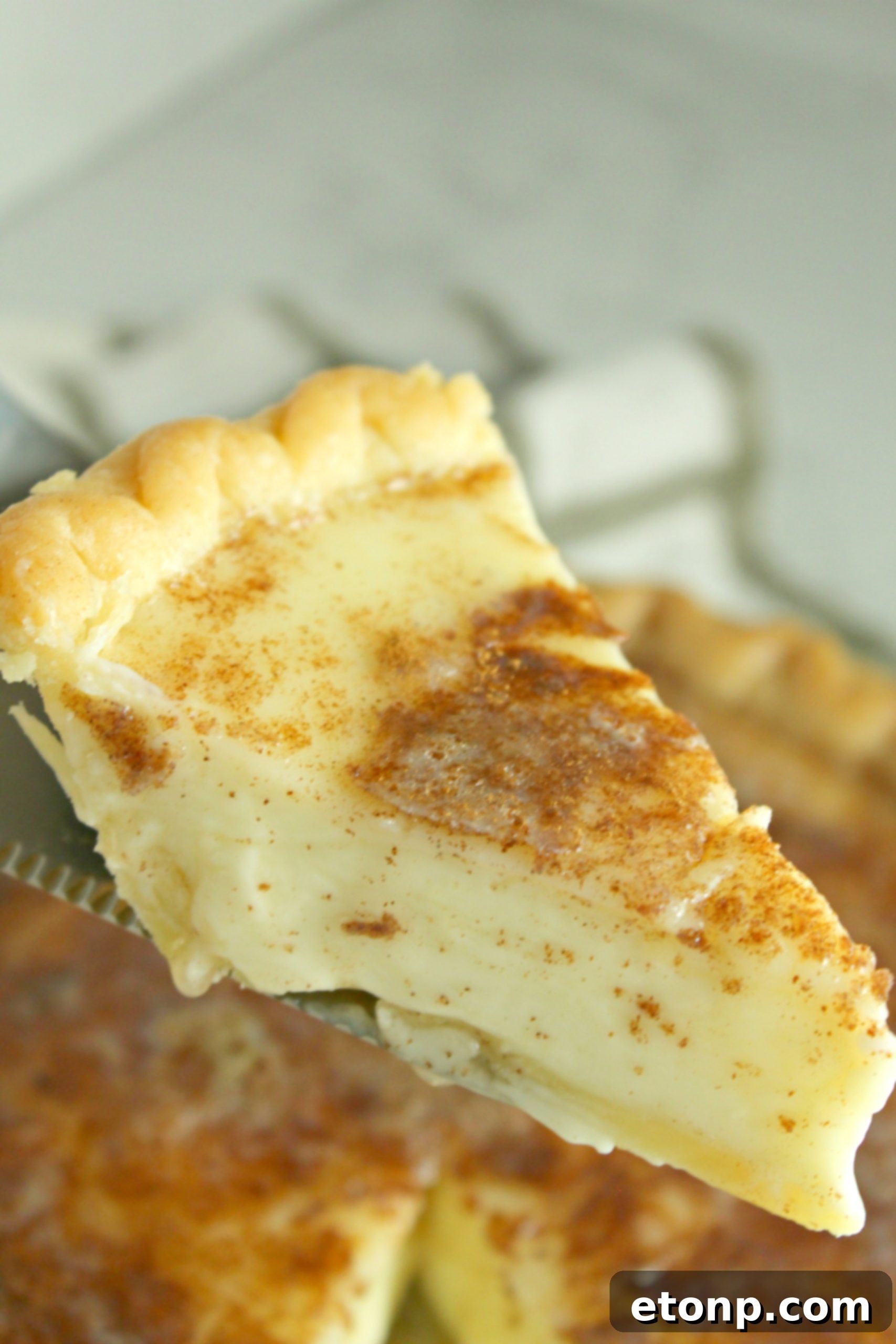 Delicious Sugar Cream Pie with cinnamon sugar topping