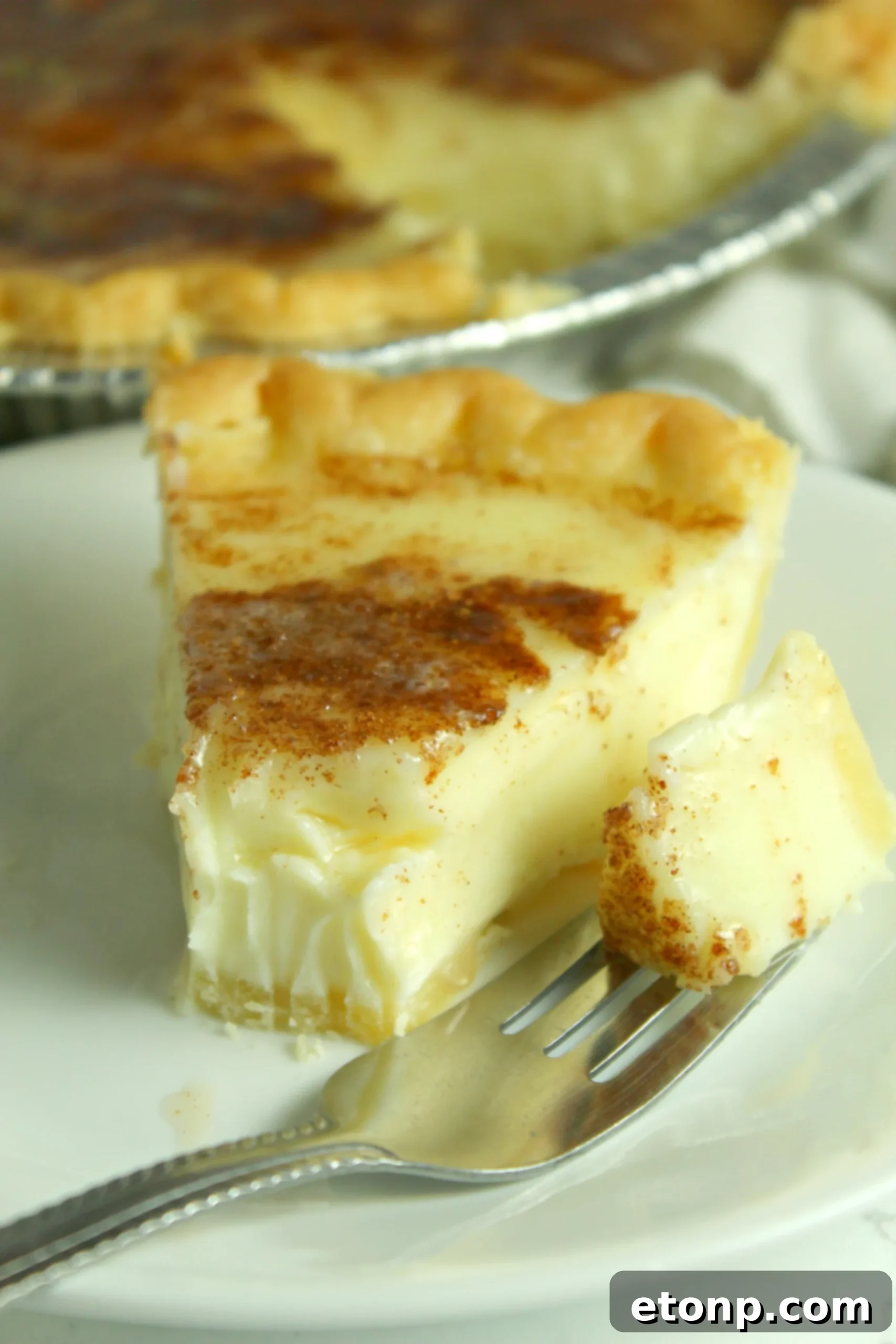 Slice of Sugar Cream Pie ready to be served