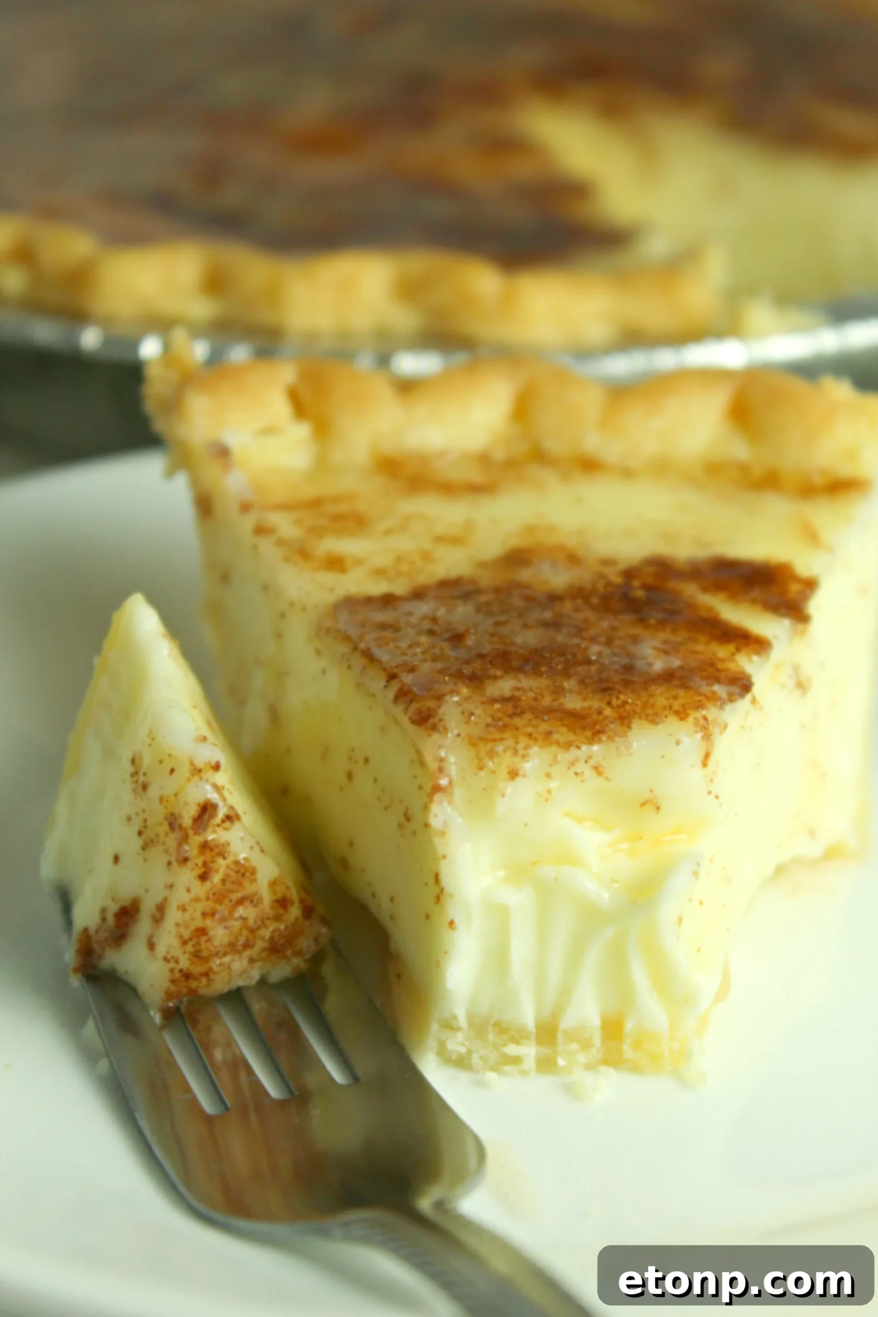 A generous slice of Sugar Cream Pie on a plate