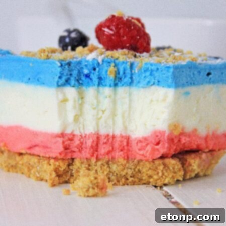 No Bake Berry Cheesecake Lasagna