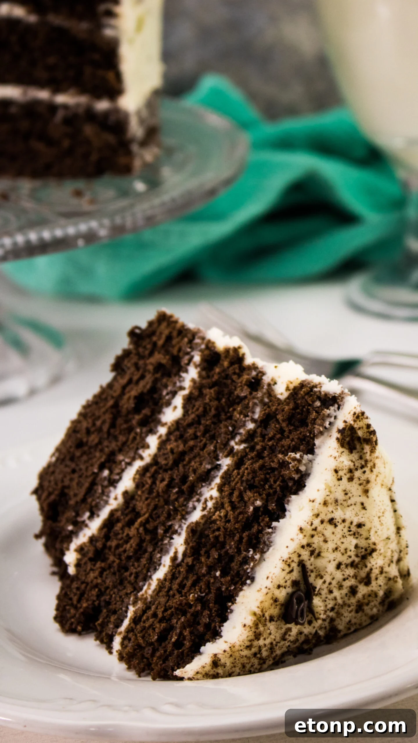 Another enticing angle of the Bailey's Irish Cream Chocolate Cake, showcasing its height and layers.