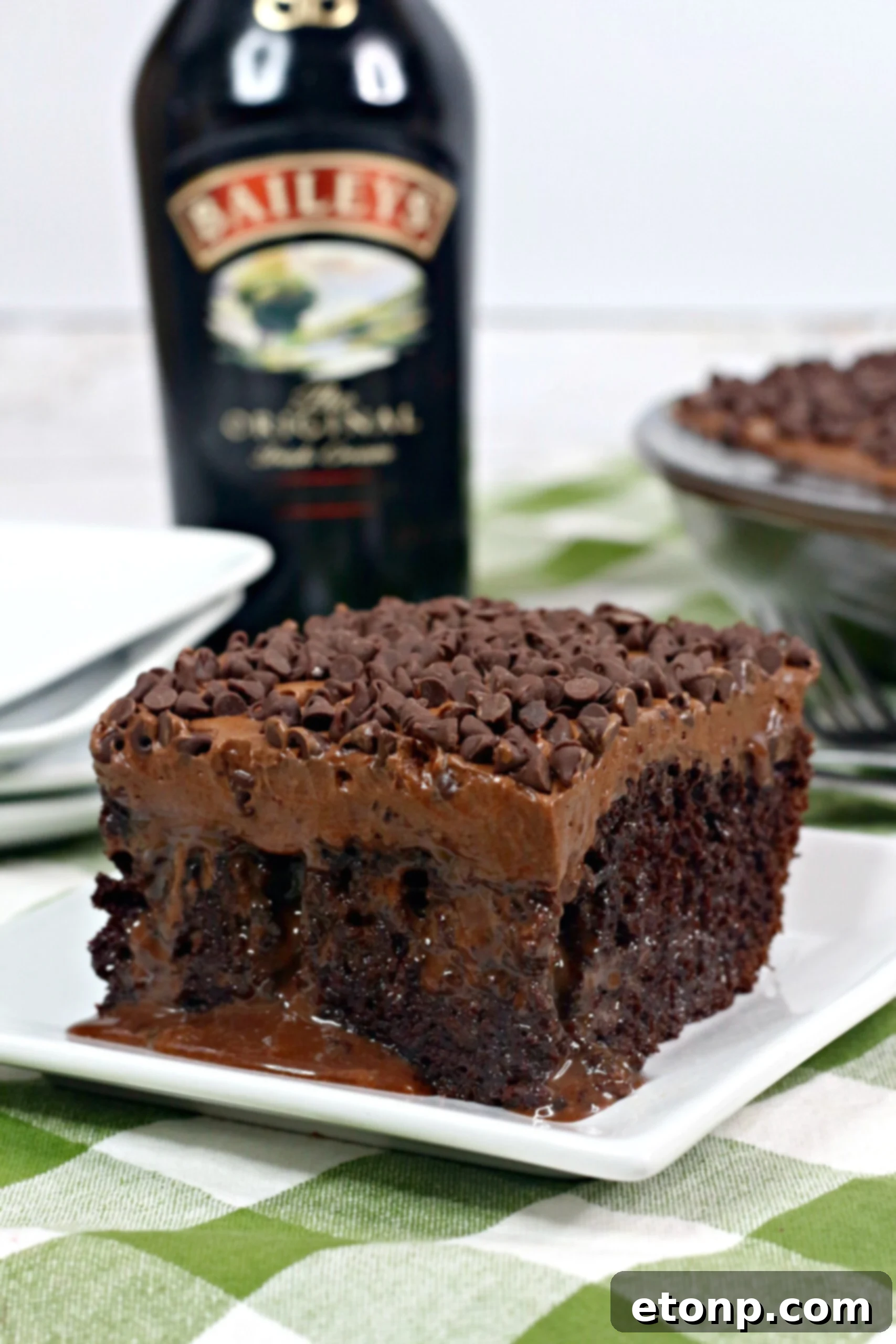 Close-up of a slice of Baileys Irish Cream Chocolate Cake, showing the moist chocolate layers and creamy frosting