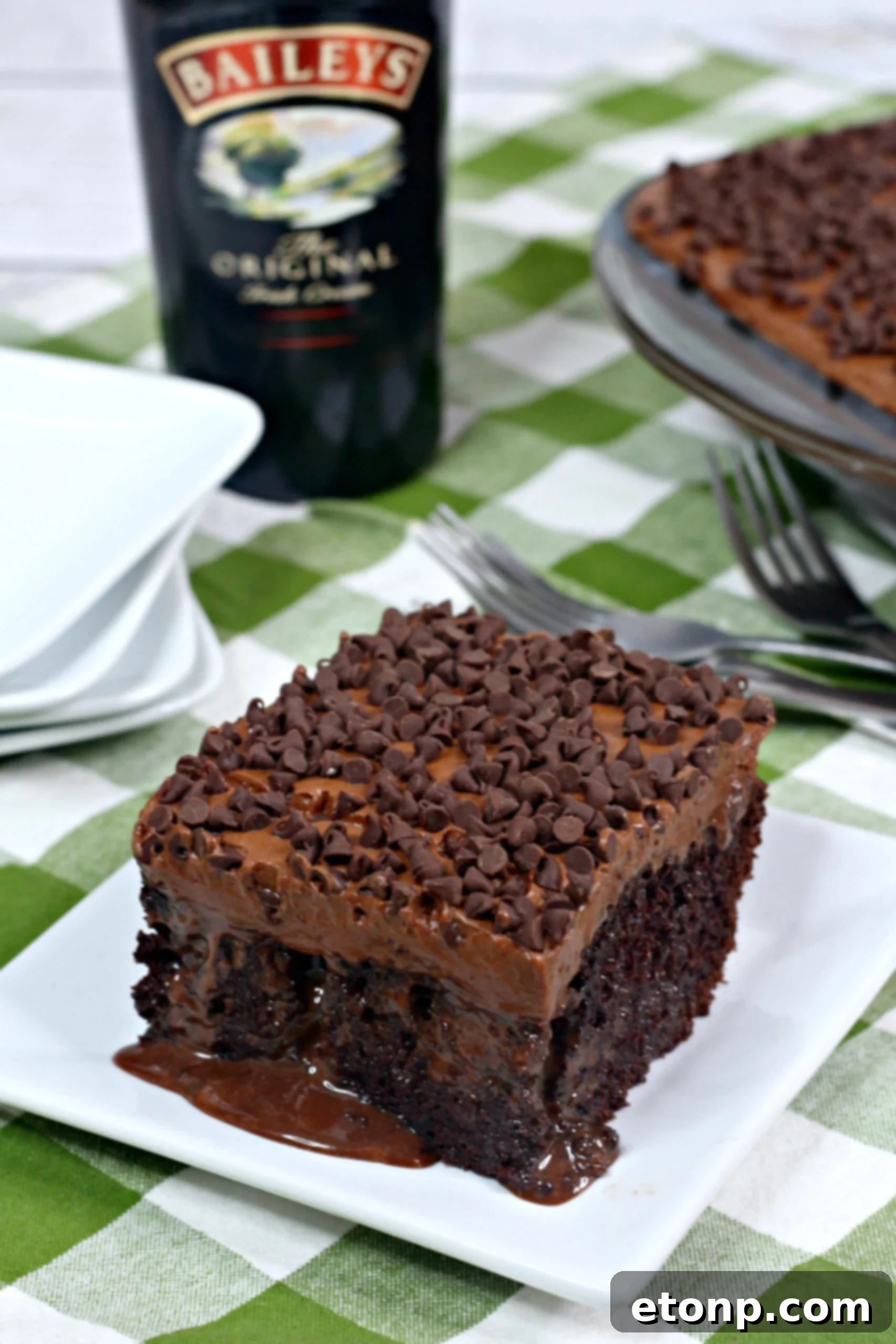 A beautifully decorated Baileys Irish Cream Chocolate Cake, ready to be served