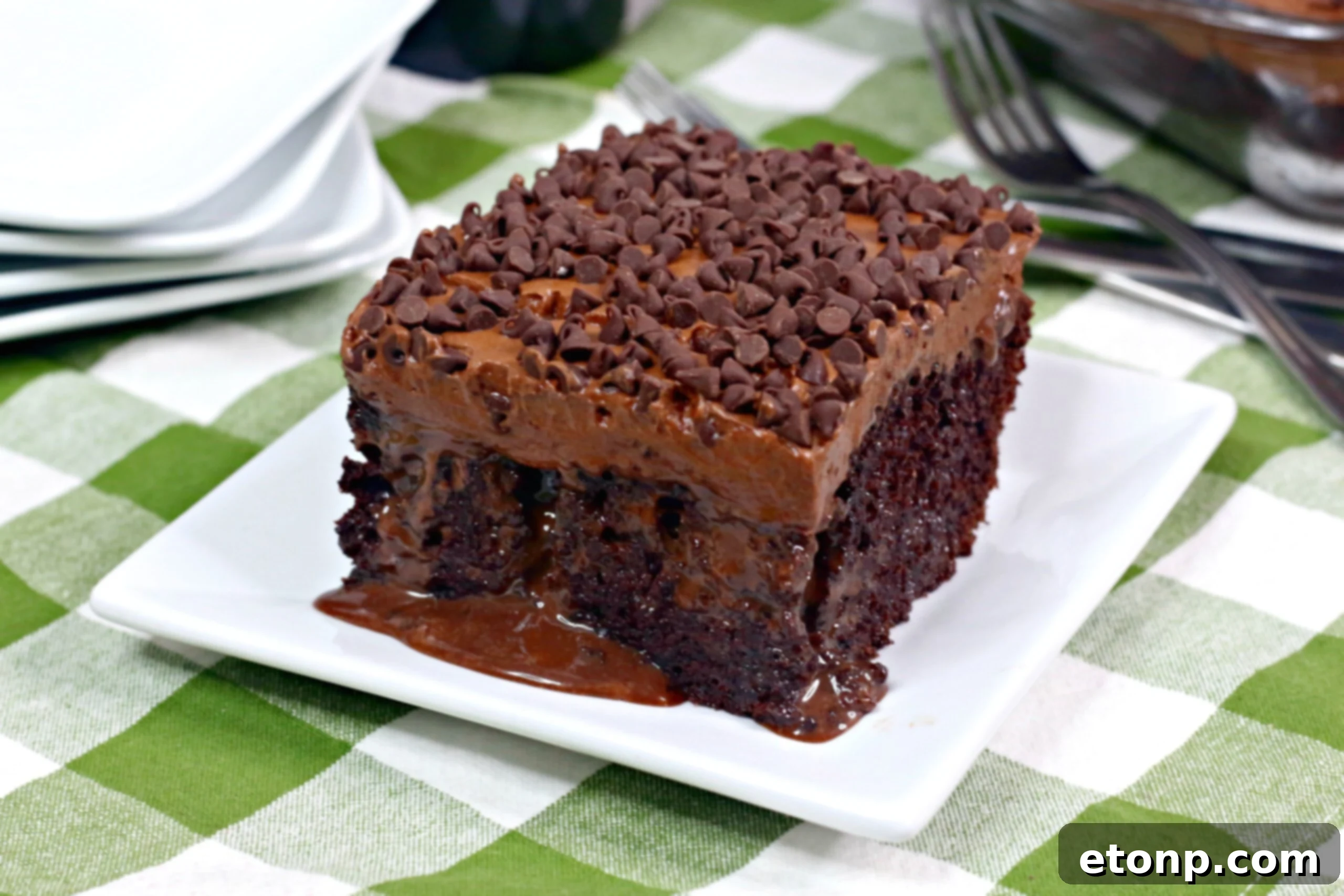 Overhead shot of Baileys Irish Cream Chocolate Cake, showcasing its rich texture