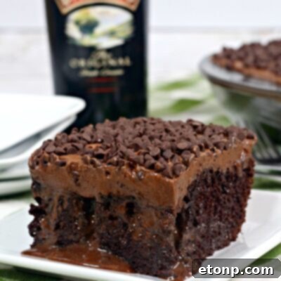 Thumbnail image of Baileys Irish Cream Chocolate Cake