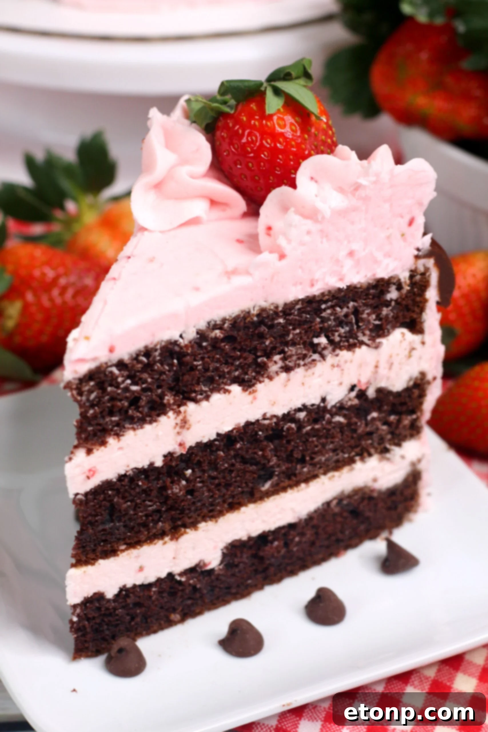Seven delicious layers of Chocolate Kahlua Cake with strawberry buttercream