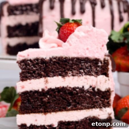 Chocolate Kahlua Cake with Strawberry Buttercream Frosting