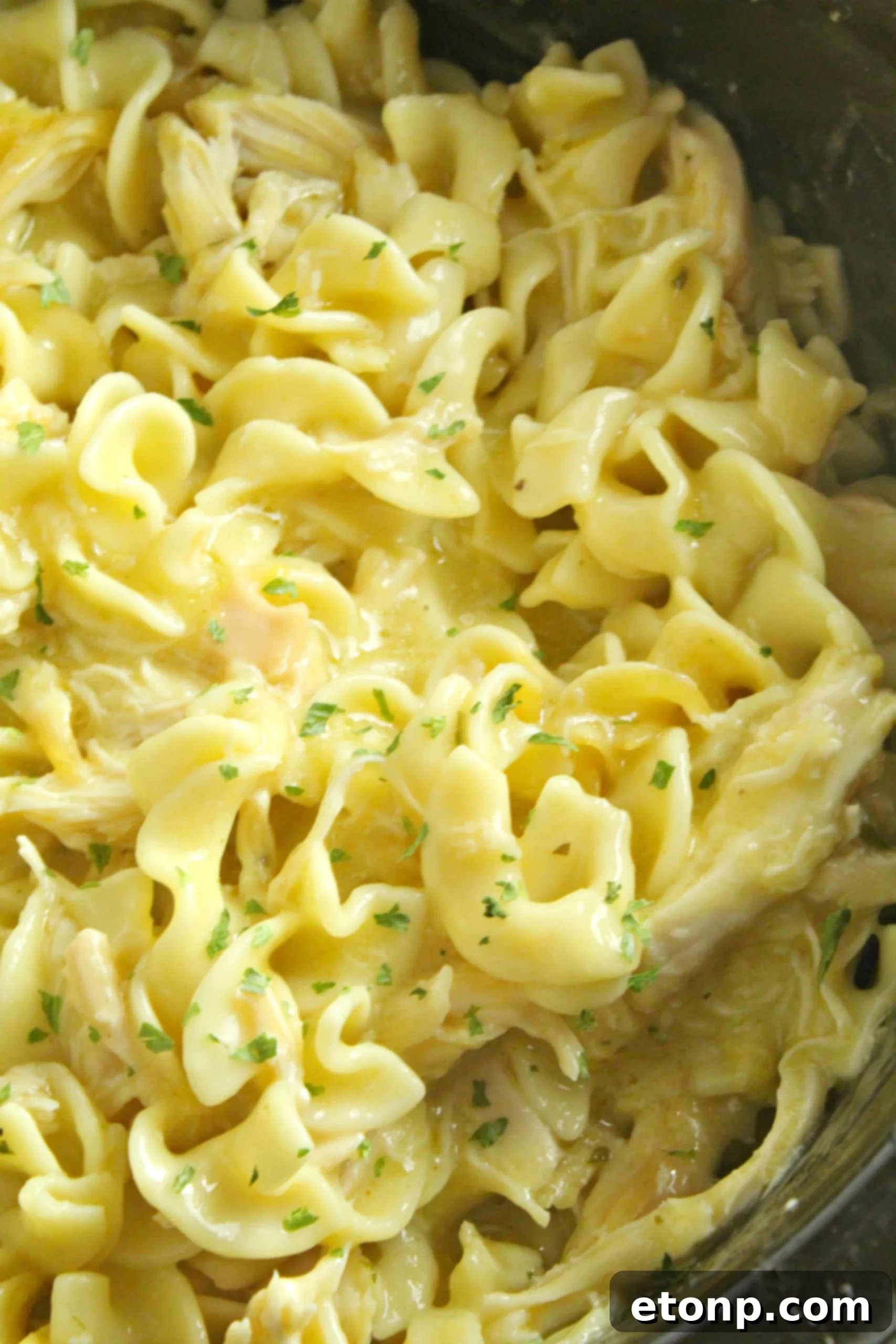 A hearty bowl of Slow Cooker Chicken and Noodles, garnished with fresh parsley.
