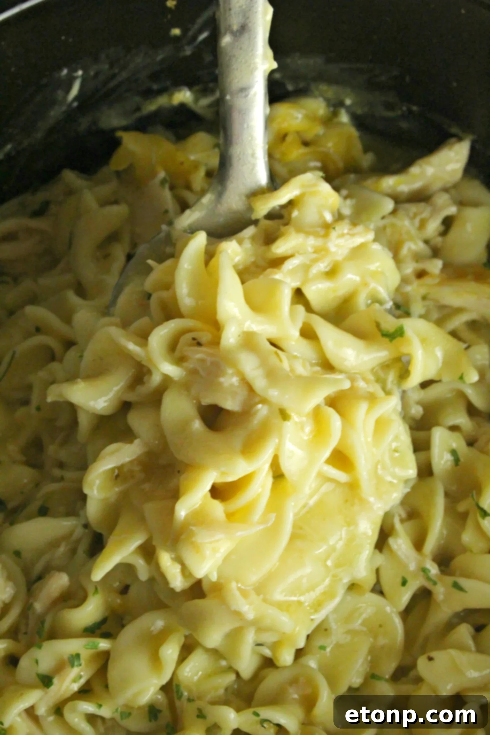 A final overhead shot of the Slow Cooker Chicken and Noodles, showcasing its appeal.