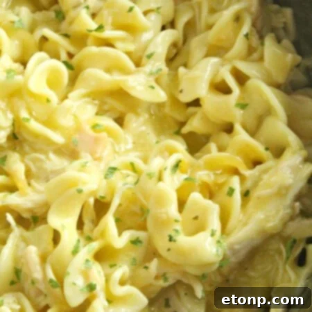 Slow Cooker Chicken and Noodles