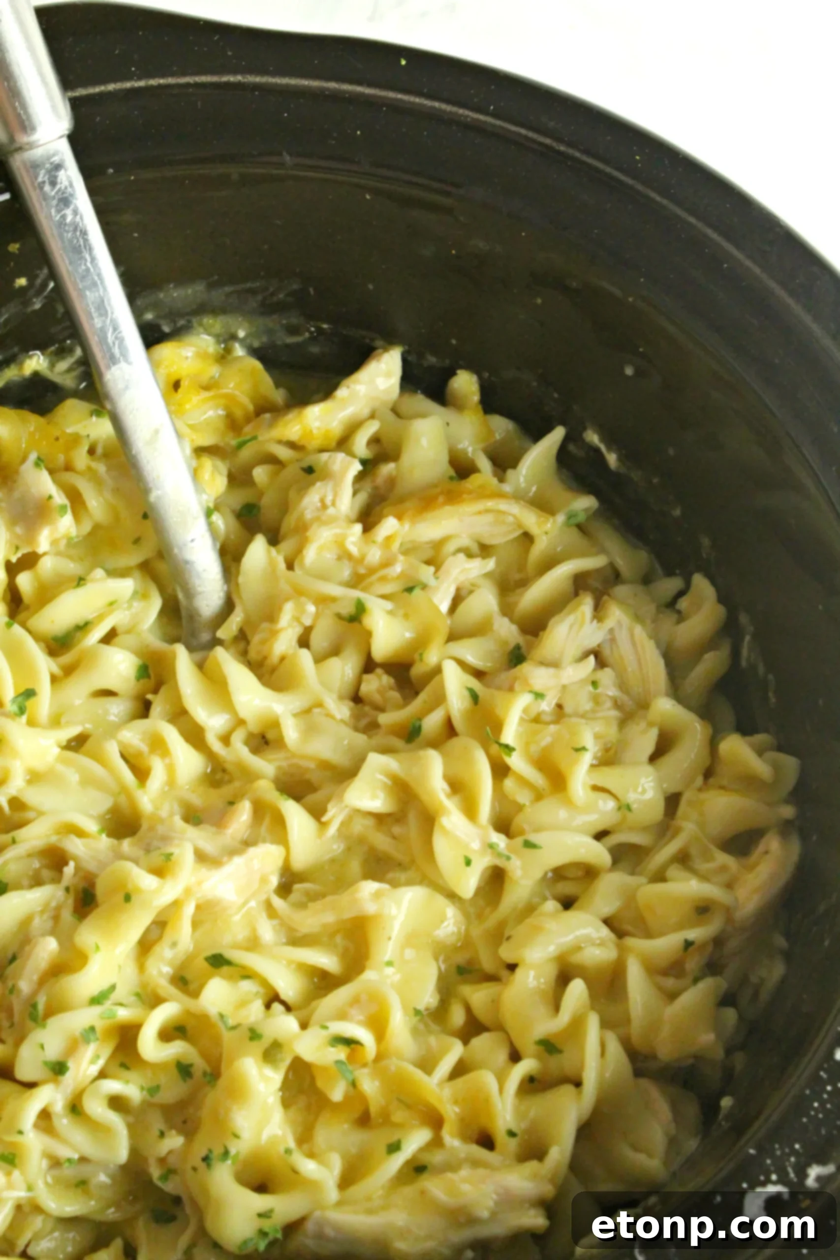 A serving of Slow Cooker Chicken and Noodles with steam rising.