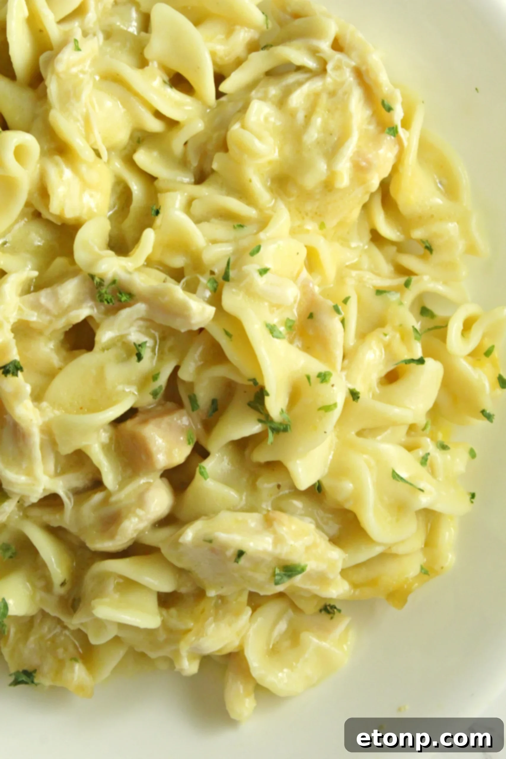A close-up shot of the rich, creamy texture of the chicken and noodles.