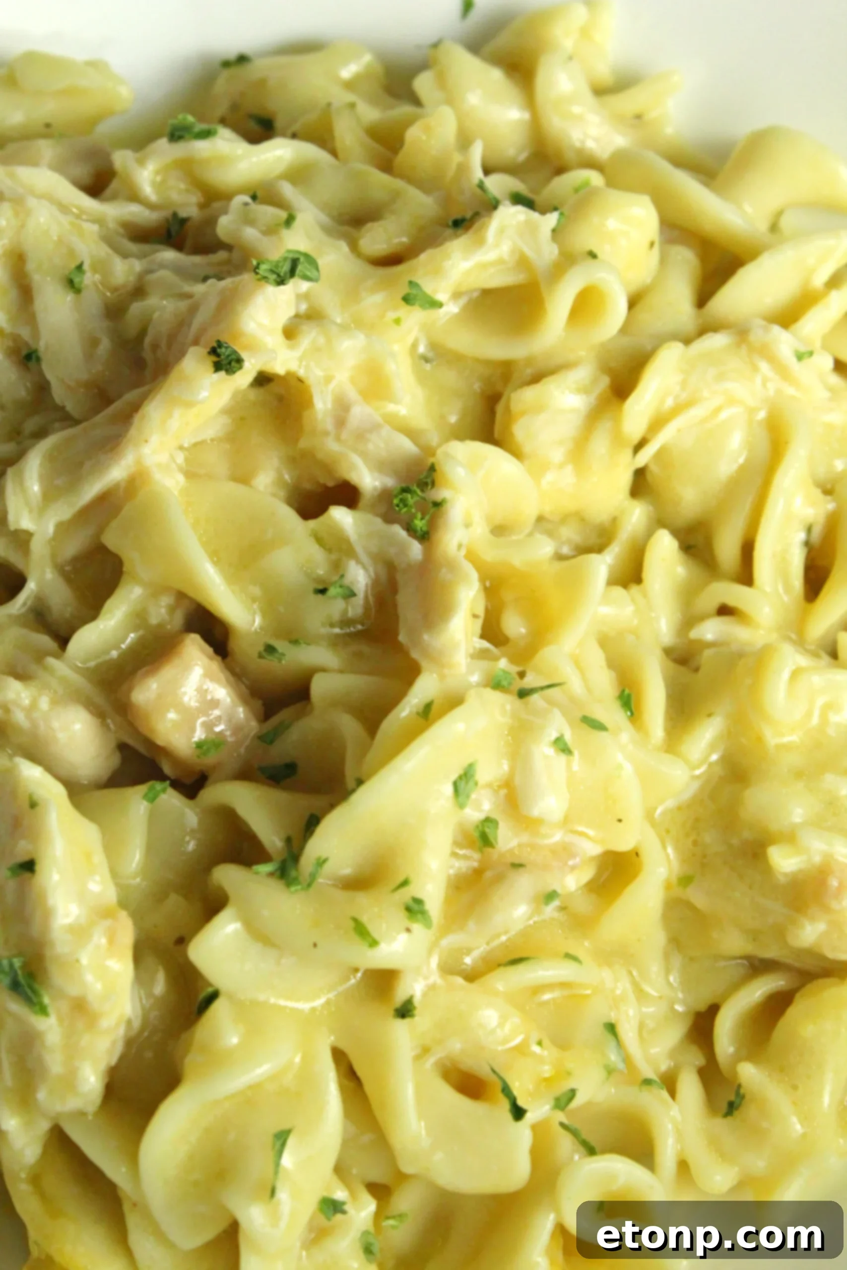 A close-up of the shredded chicken and tender noodles.