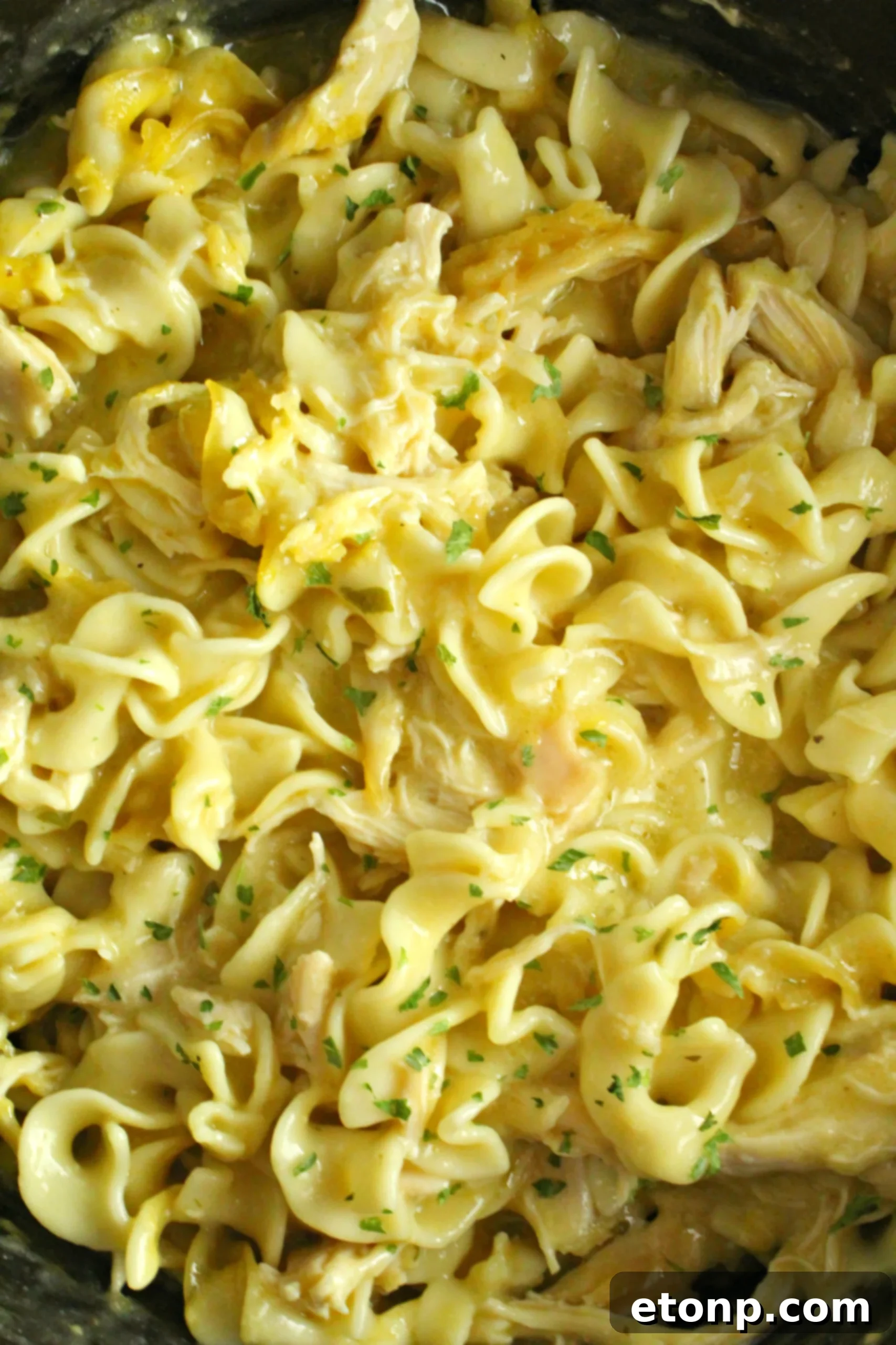 Slow Cooker Chicken and Noodles with added green beans for extra heartiness.