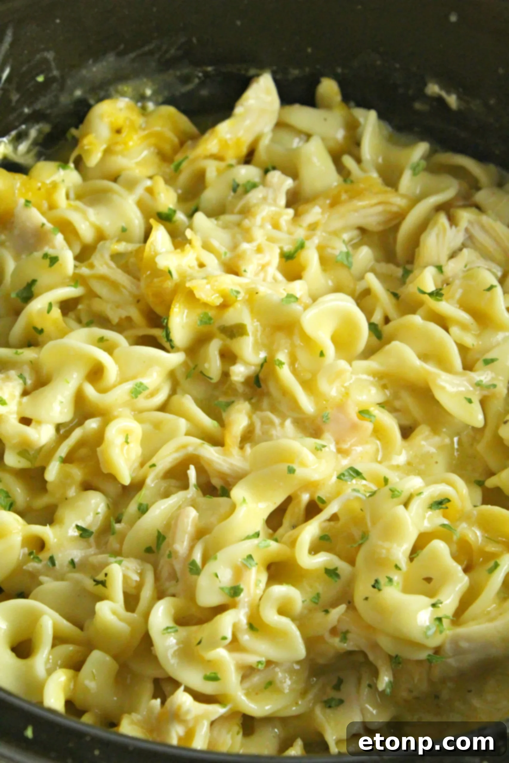 A bowl of creamy chicken and noodles with a spoon, highlighting its inviting texture.