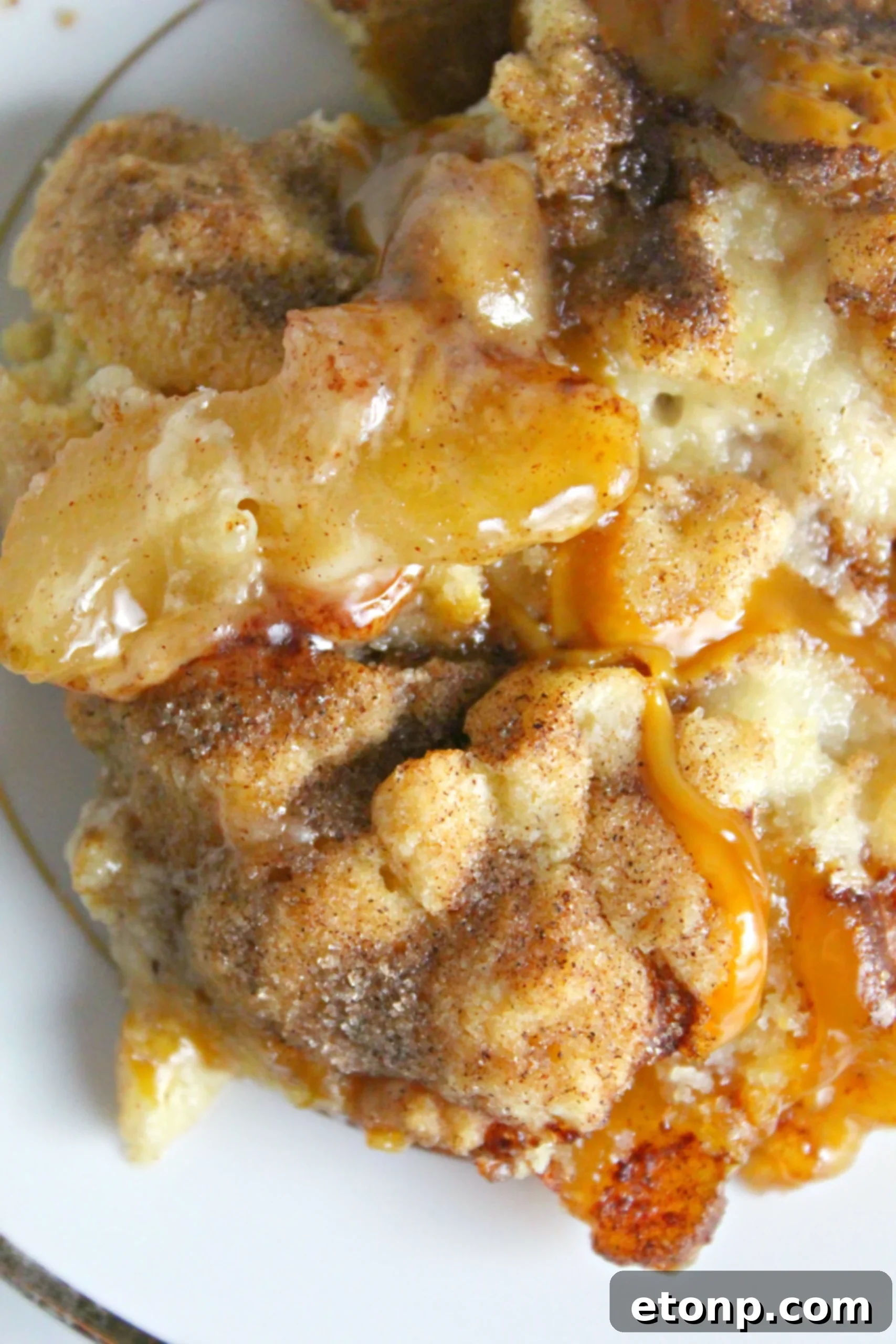 Delicious Snickerdoodle Cobbler with a scoop of vanilla ice cream, ready to be served.