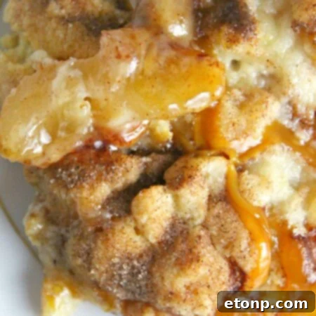 Snickerdoodle Cobbler with ice cream