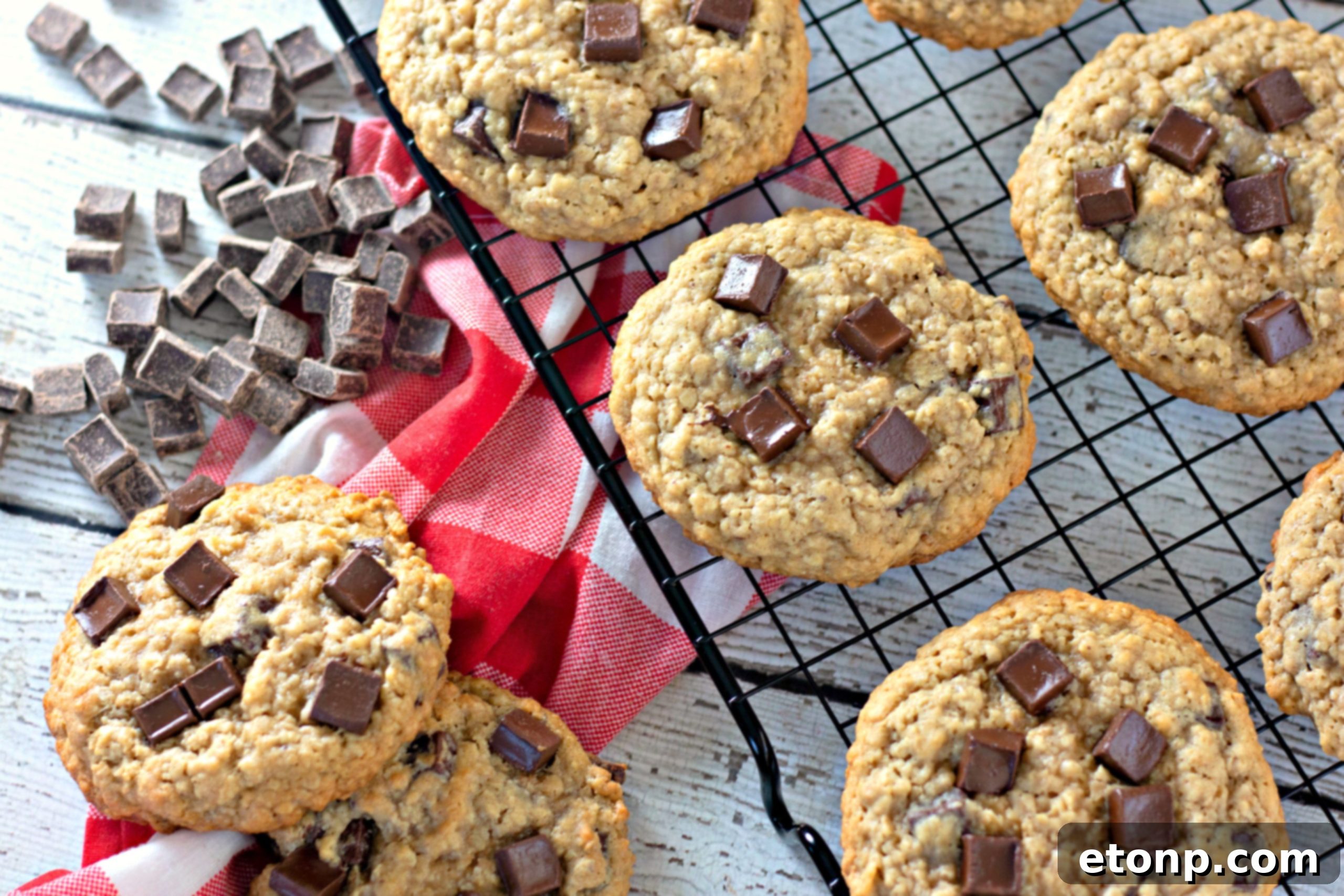 Chewy Jumbo Chocolate Chunk Oat Cookies 11 A close-up of a giant chocolate chunk oatmeal cookie revealing its texture