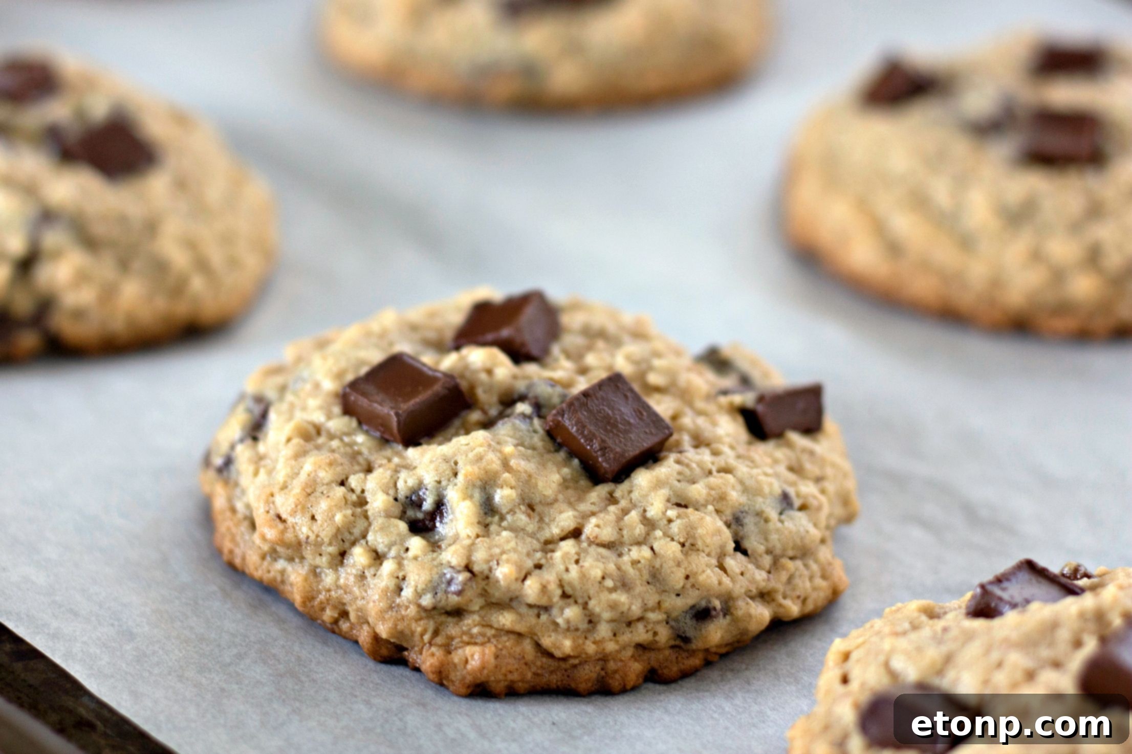 Chewy Jumbo Chocolate Chunk Oat Cookies 4 Two giant chocolate chunk oatmeal cookies on a cooling rack