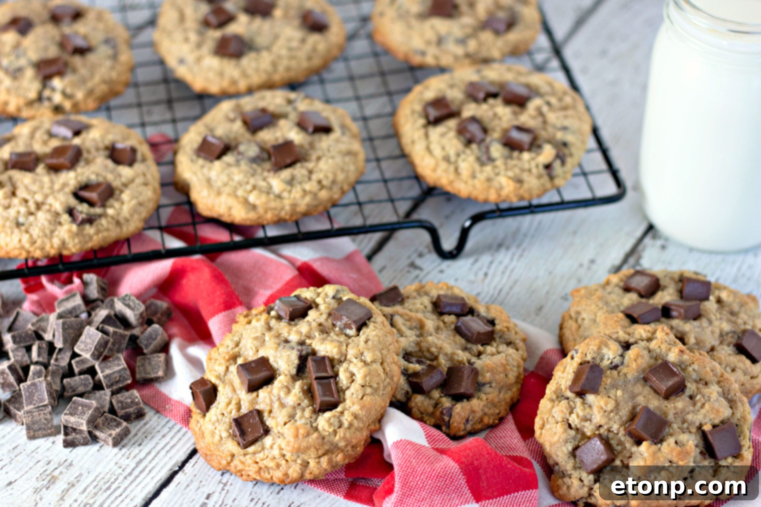 Chewy Jumbo Chocolate Chunk Oat Cookies 8 A batch of freshly baked giant chocolate chunk oatmeal cookies